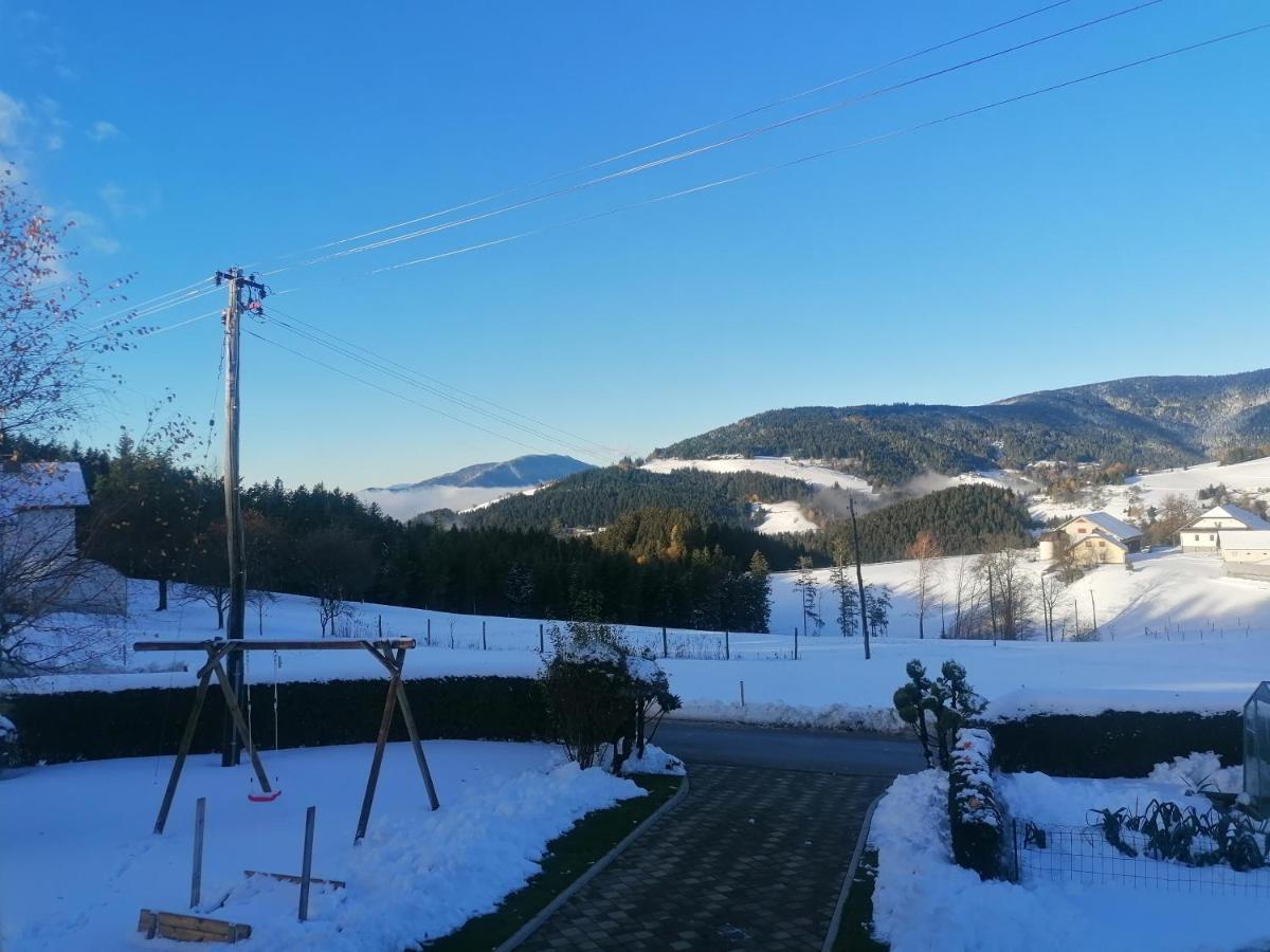 Apartma Tia 2 Zrece Exterior photo